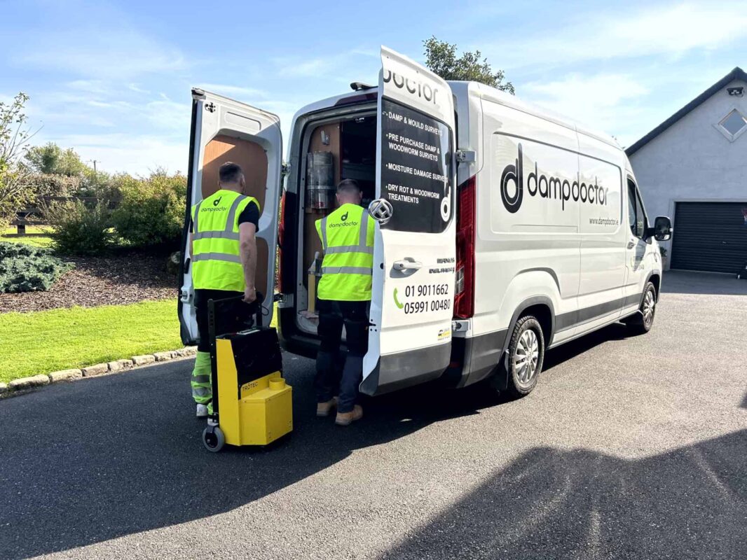 Damp Doctor - damp and mould specialists, - surveys and damp and mould solutions Ireland
