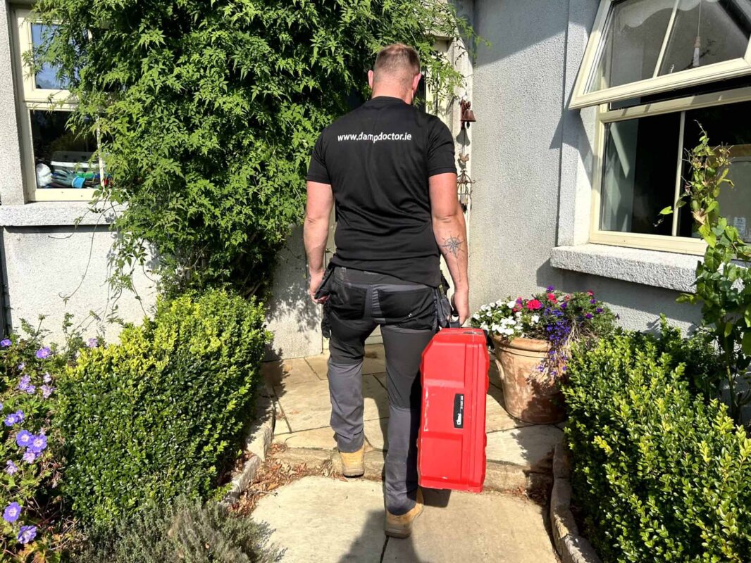 Damp Doctor - damp and mould specialists, - surveys and damp and mould solutions Ireland
