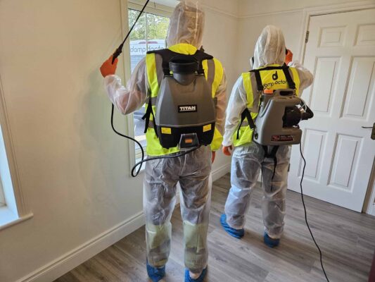 What is a damp specialist?