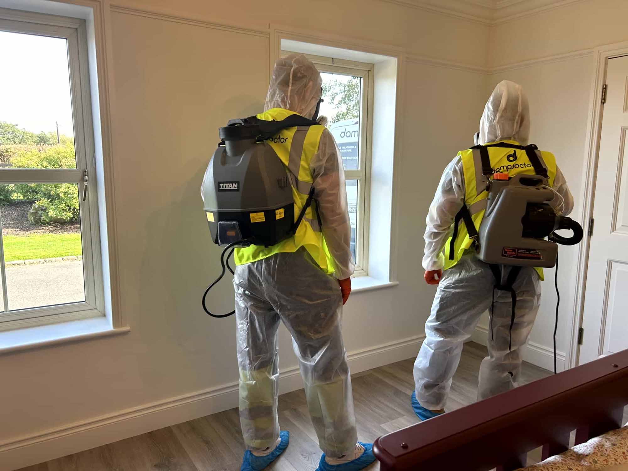 Damp Doctor - damp and mould specialists, - surveys and damp and mould solutions Ireland