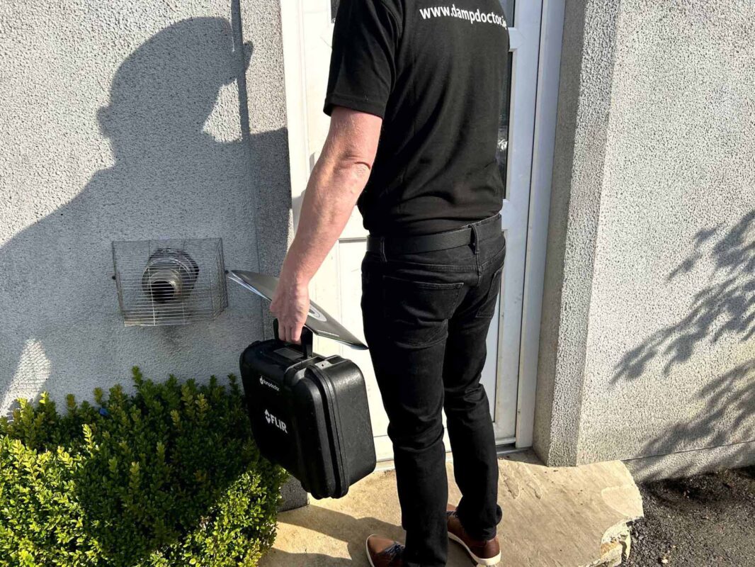 damp and mould solutions Ireland