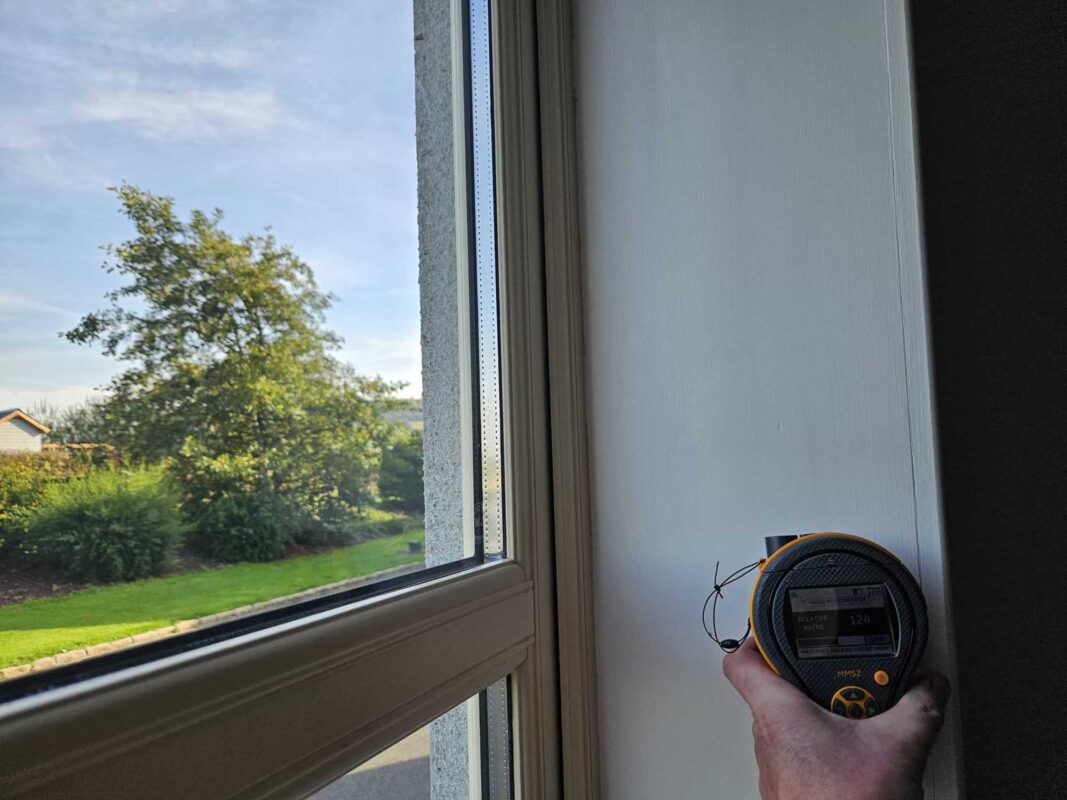 damp and mould specialists Ireland