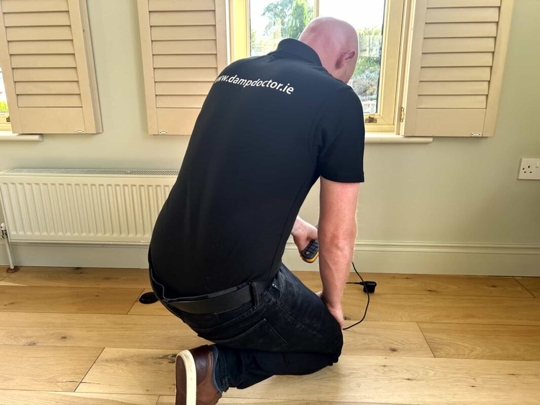 Damp Doctor - damp and mould specialists & solutions Ireland