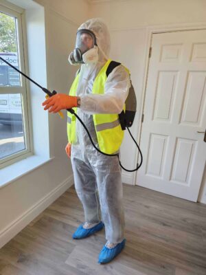 Damp Doctor - damp and mould specialists & solutions Ireland