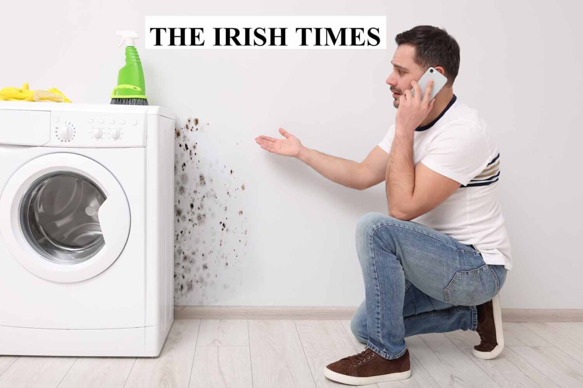 Damp Reappearing Around Sockets - (Featured in The Irish Times)