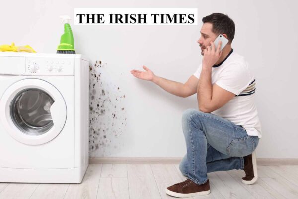 Damp Reappearing Around Sockets - (Featured in The Irish Times)