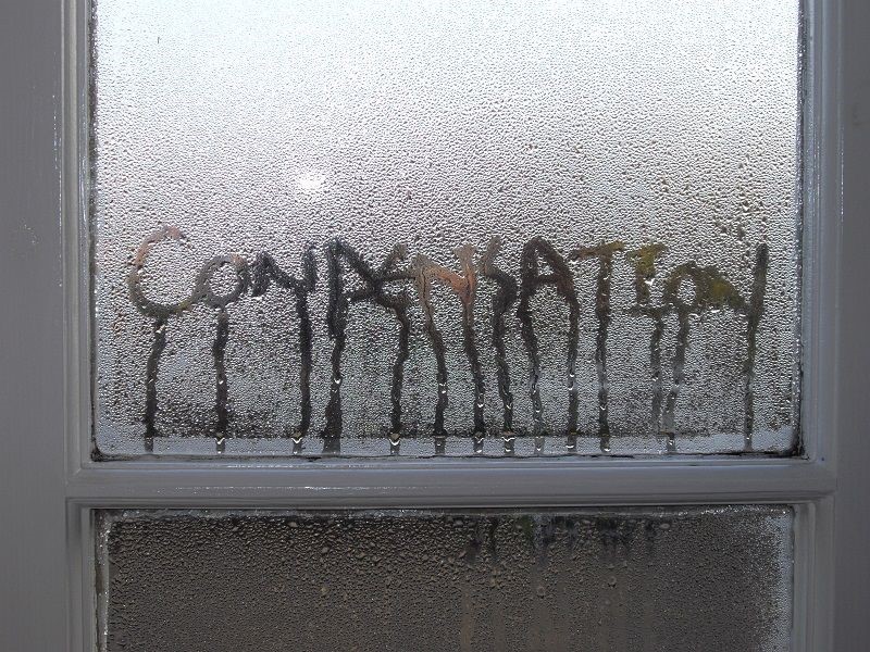 condensation on window