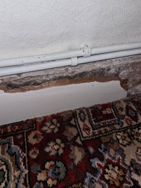 Dry rot damage on skirting boards